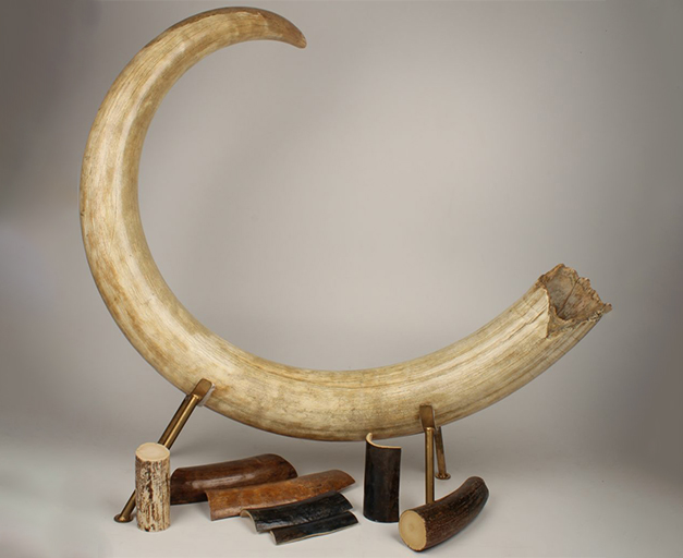 EXPOSANT_COUTELLIA_ARCTIC ANTIQUES