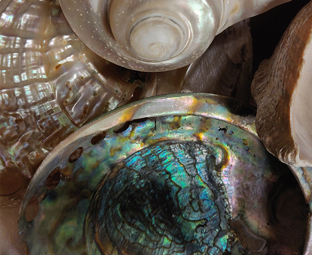 EXPOSANT_COUTELLIA_ATELIER DELARUELLE