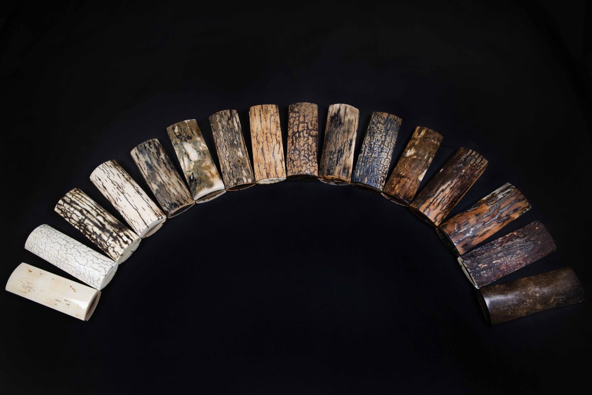 COUTELLIA 2026 SEBASTIEN CAPPAELLESSO STONE AND BONE 1