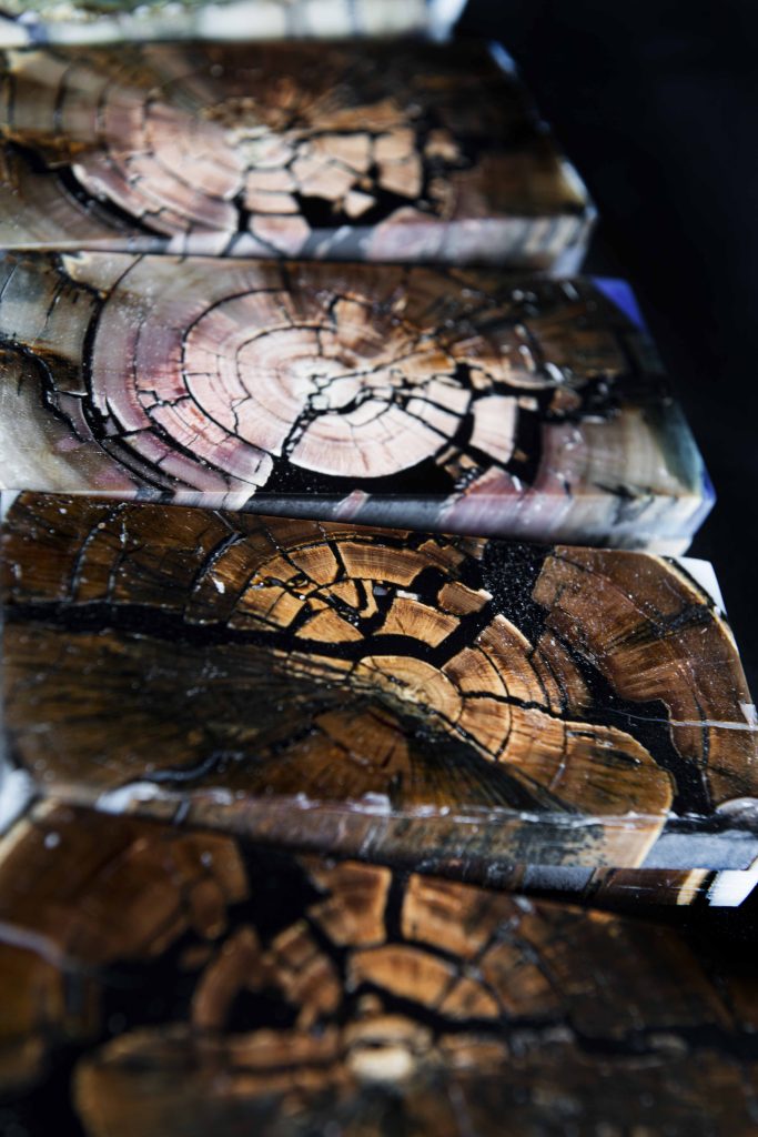 COUTELLIA 2026 SEBASTIEN CAPPAELLESSO STONE AND BONE 2