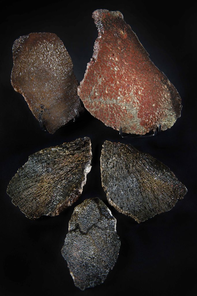 COUTELLIA 2026 SEBASTIEN CAPPAELLESSO STONE AND BONE 4