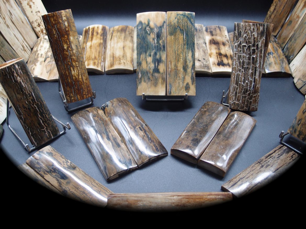 Stone and bone 1