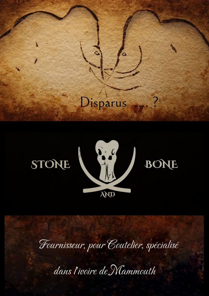 Stone and bone 4